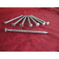 HOT SALE common nails/common iron nail/common wire nail